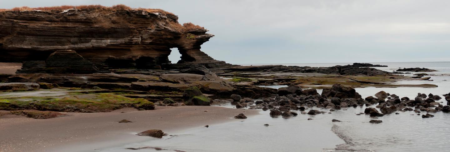 Beach, puerto egas, santiago island, galapagos islands, ecuador